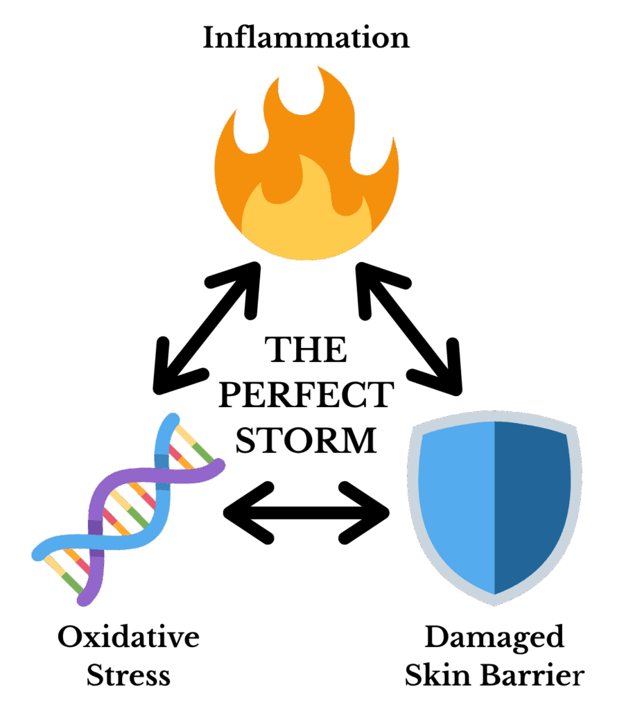 picture showing the 3 core issues of melasma that fuel one another and create the perfect storm: inflammation, oxidative stress, and skin barrier damage